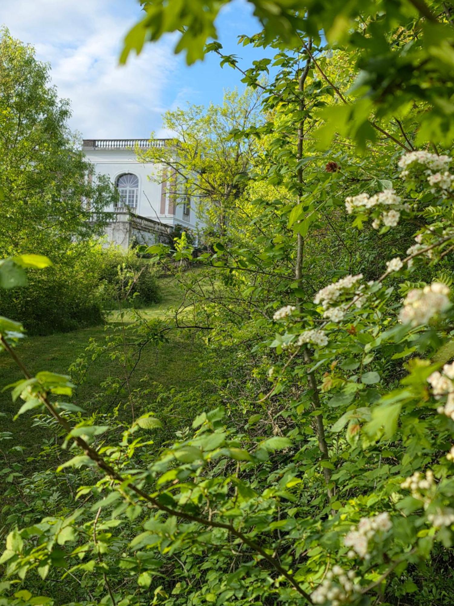 Chateau de Pourpry Damiatte Extérieur photo